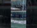 RELAXING SOUNDS #asmr #shorts #fyp #fountain #relaxingsounds