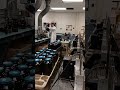 me being an Environmental Organic Preparatory Technician/Chemist(i.e. a Scientist I guess) TIMELAPSE