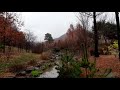 10 hours of comfortable rain falling on the river / Sound of nature / ASMR