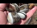 Oregon Beach Agates ! North Of Newport spring 2021 Road Trip Part 10 By: Quest For Details