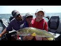 How to Catch Walleyes on Reefs (Tips+Tricks)