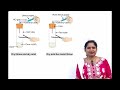 Acids,Bases and Salts - ￼Part 2 Conduction Of Electricity & Dilution Of Acids and Bases
