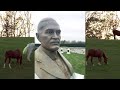 126 year old Overlooked famed racehorse cemetery -Lexington Kentucky-Old Hamburg Farm