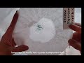 Coffee Filter Chromatography Science Experiment for Kids