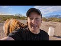 8 DAYS of MEET MY HORSES | Equestrian Vlogmas #4