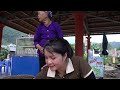 Harvest Corn go to the market sell - The boy's father proposed to me- what should I do | Lý Thị Nông