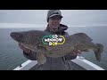 How An Unforgettable Day on Saginaw Bay Led to 10 lb. Master Angler Walleye