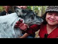 WOLFDOG SANCTUARY IN TEXAS | TEXAS BUCKETLIST | COVID19 EDITION