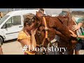 The most difficult rescue horse we ever had. Dory's full Story. Tenerife Horse Rescue