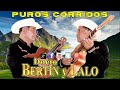 Dueto Bertin y Lalo __ Corridos Mix Exitos __ Corridos Famosos __ 2024