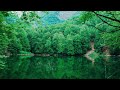 Chill and Relax  Music • Ambient Music for Studying, Relaxing and Stress Relief 🍃🍃🍀 [ BMA ]