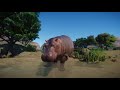 Building a HUGE Hippo Habitat with Underwater Viewing in Meilin Zoo | Ep. 5