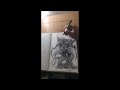 Demon Twins Ink Drawing Timelapse Art Video #shorts