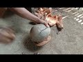 cara buka sabuk kelapa dengan mudah