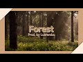(no copyright music) lofi type beat “forest” | royalty free vlog music | prod. by lukrembo