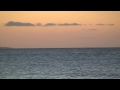 Humpback Whales breeching in front of Maui Sands Resort