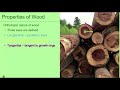 A Brief Introduction to Wood Material Science