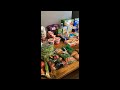 Grocery Haul for family of 5! For recipes follow me on TikTok @mamaws.recipes