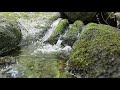 Gentle Water Stream With Tibetan Singing Bowl | Relaxing Sounds For Sleep, Meditating, Studying |