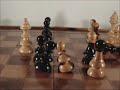 The Epic Life of Chess Pawns
