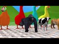 Long Slide Game With Elephant Gorilla Buffalo Hippopotamus Tiger - 3d Animal Game - Funny 3d Animals