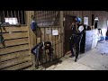 A Day in the Life: U.S. Park Police Mounted Unit Officer