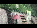 Monteverde Hummingbirds - Slo-motion
