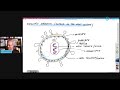 Epstein Barr Virus (EBV) Part 1 of 4: EBV and Long COVID