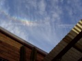 bird shows a upside down rainbow on a clear day