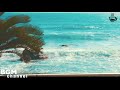 Hawaiian Guitar Music - Relaxing Hawaiian Cafe Music - Background Music