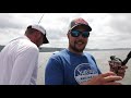 Trolling the MISSISSIPPI RIVER for oversized Summer Walleyes!