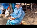 Gặp Cá Bằn Chặn Ở Huế | Độc Đáo Bánh Xèo Cá Kình Chợ Chuồn