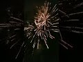 Fireworks at Marble lake 2018