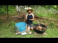 Sheep | My NEW Favorite Homesteading Animal