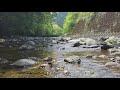 1 Minute of Paradise (Noon at a Japanese Mountain Stream in the Forest)