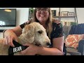 DITL of an Australian Homeschool Family + Dog Friendly CO review
