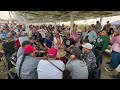 2023 Rocky Boy Pow Wow - Saturday Men’s Chicken Special Song - Northern Cree