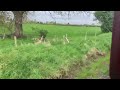 SVR 2024 Spring Steam Gala- 7714 & 1369 on Eardington Bank