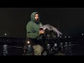 James River Catfishing | TONS of BAIT