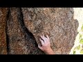 Estes Valley: Jurassic Park - Byron's Ladder 5.2