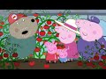 🔴 Peppa Pig | Full Episodes | All Series | Live 24/7 🐷 @Peppa Pig - Official Channel Livestream