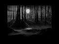 Aver - Dark forest (Original mix)