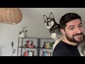 Cute Things My Mini Huskies Do That Make Me Smile | Life With Klee Kai