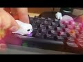 squishie on da keyboard