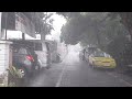 Super Heavy Rain accompanied by strong winds in village | Sleep instantly with the sound of Rain