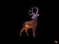 shnipe #shorts￼￼ #deerhunting2018