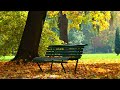 CALMING Meditation MUSIC  THAT WILL RELAX YOUR MIND  WITH Spring SCENIC  BACKGROUND