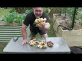 How to Grow Ginger From STORE Bought Ginger in Containers