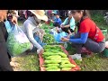 Harvesting Bitter Melon & Orange Go To Market Sell, Take care animals in farm | Tiểu Vân Daily Life
