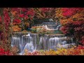 Beautiful Guitar Songs with Enchanting Autumn Scenes,Fall Background for Relaxing and Concentration